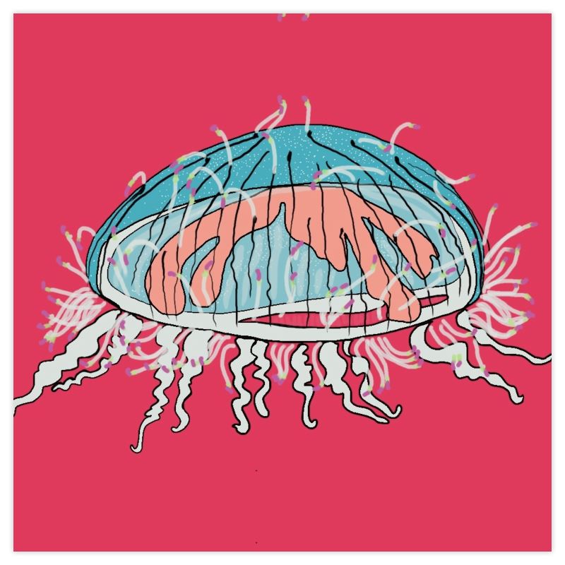 Aurelias Dream Paper Samples