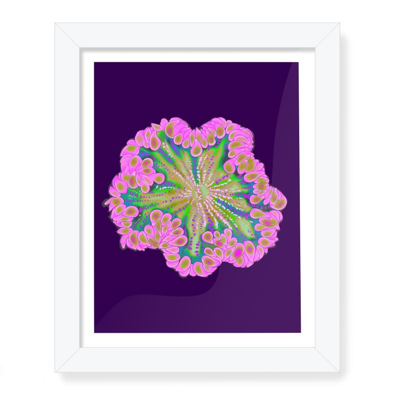 Pink Rock flower Box Frame Art Prints