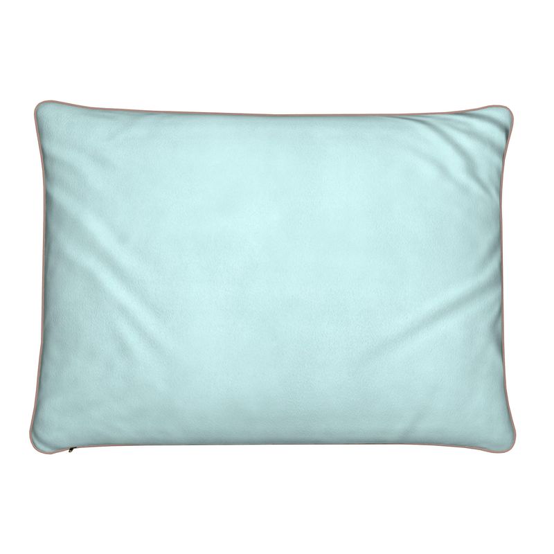 Refractions Cushions